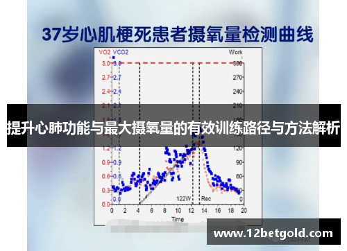 提升心肺功能与最大摄氧量的有效训练路径与方法解析