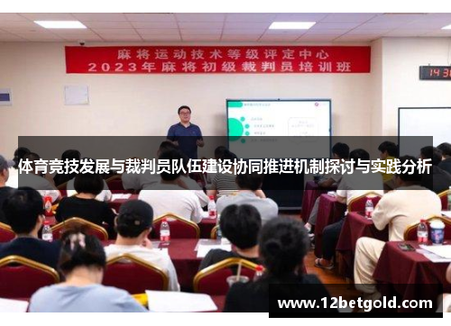 体育竞技发展与裁判员队伍建设协同推进机制探讨与实践分析
