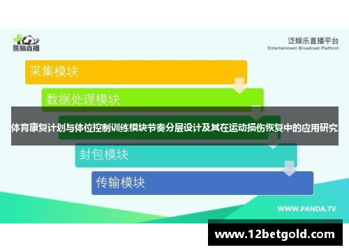 体育康复计划与体位控制训练模块节奏分层设计及其在运动损伤恢复中的应用研究